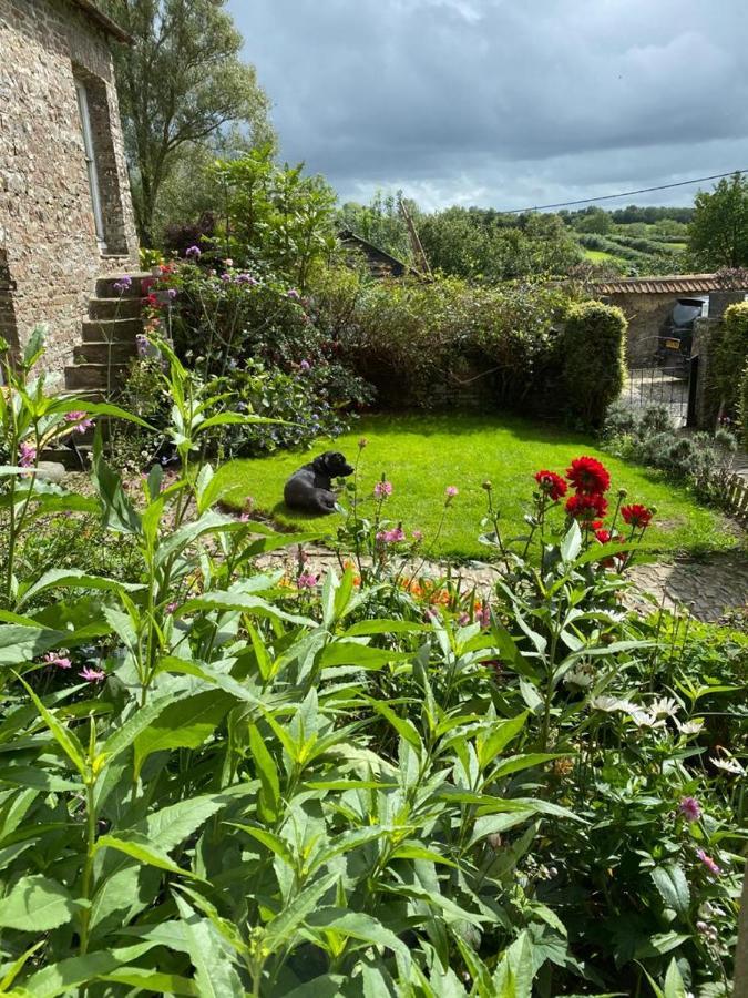 Higher Biddacott Farm Chittlehampton Extérieur photo
