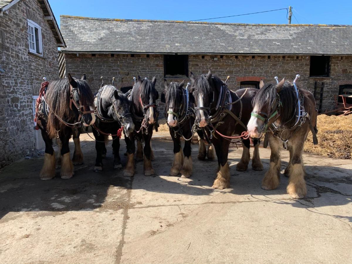 Higher Biddacott Farm Chittlehampton Extérieur photo