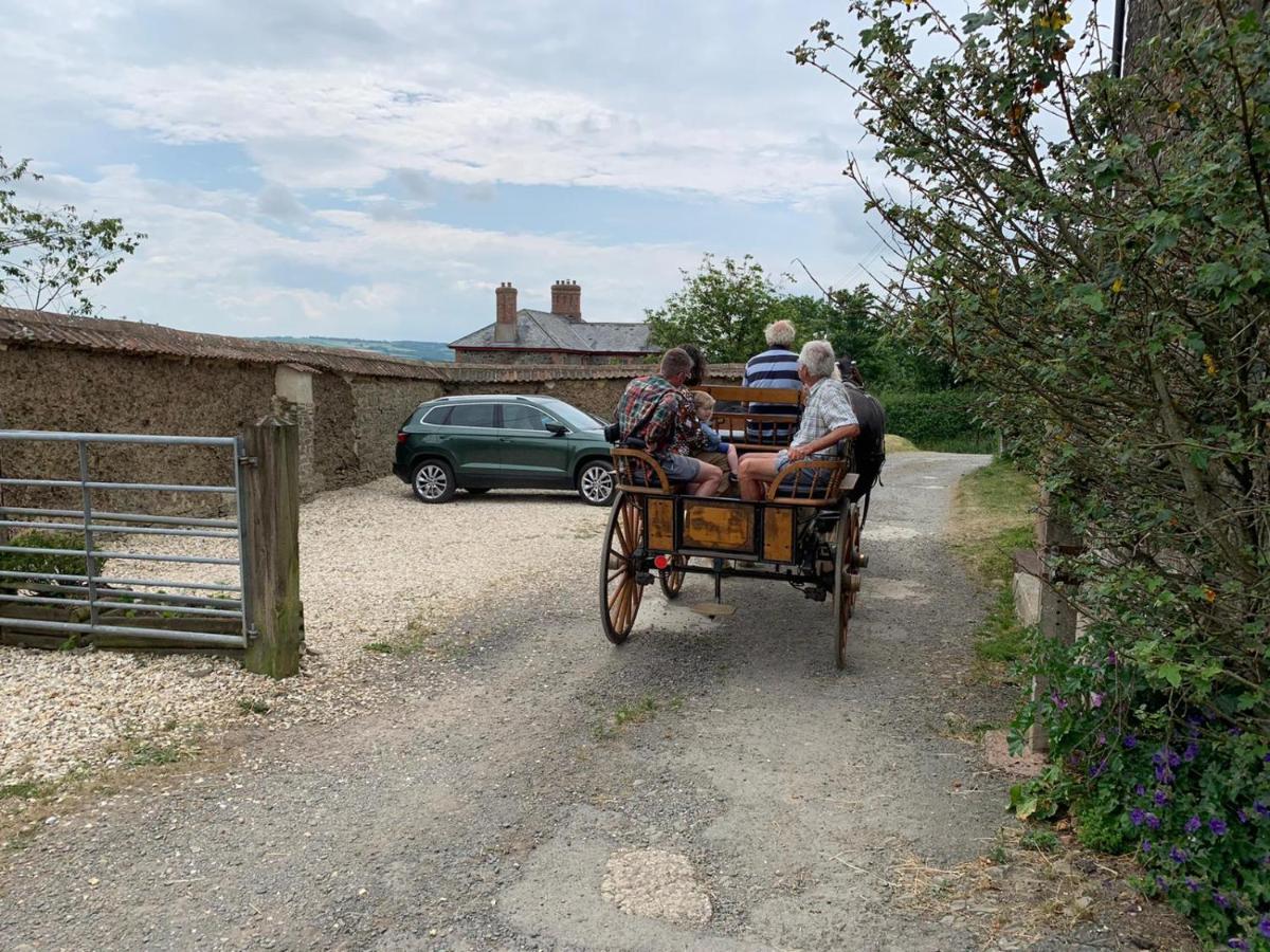 Higher Biddacott Farm Chittlehampton Extérieur photo